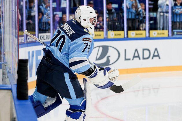 Голкипер «Сибири» Луи Доминг