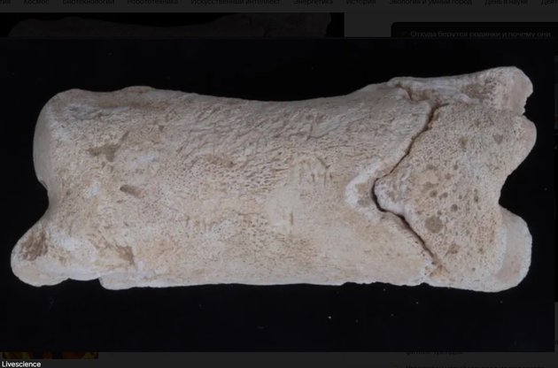 Древнеегипетский свисток