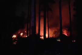 Пожар в Новосибирском зоопарке