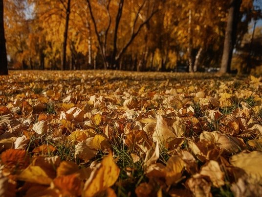 Осень