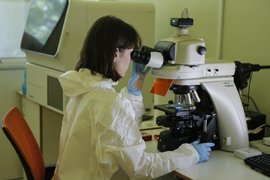 Национальный исследовательский центр эпидемиологии и микробиологии имени Гамалеи