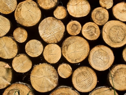 Лесозаготовки, лесоповал