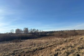 Место в Березовском районе, где собаки напали на 10-летнего мальчика