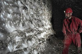 Самая большая в мире паутина