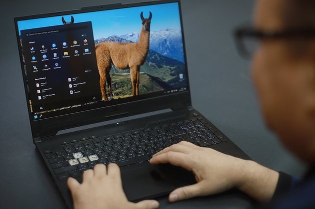 Windows 11