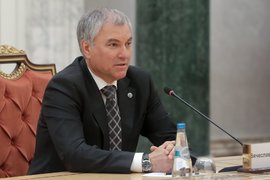 Председатель Госдумы Вячеслав Володин