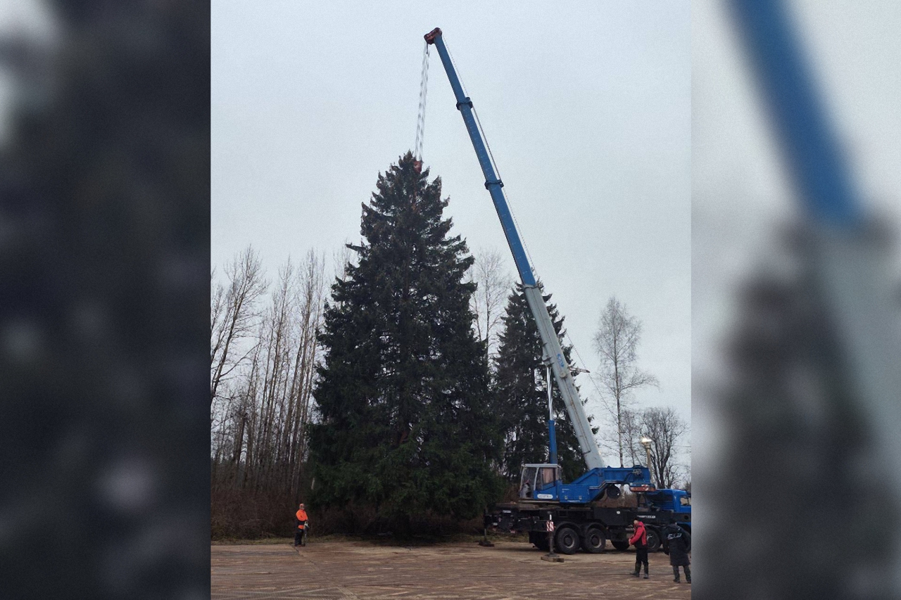 Главная новогодняя елка страны 