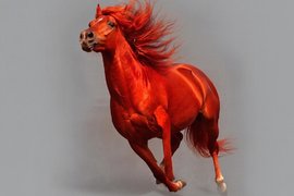 Красная Огненная Лошадь 2026 год