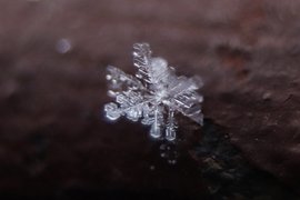 Снежинки