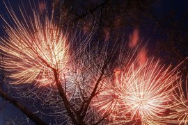 Салют 9 мая в Новосибирске