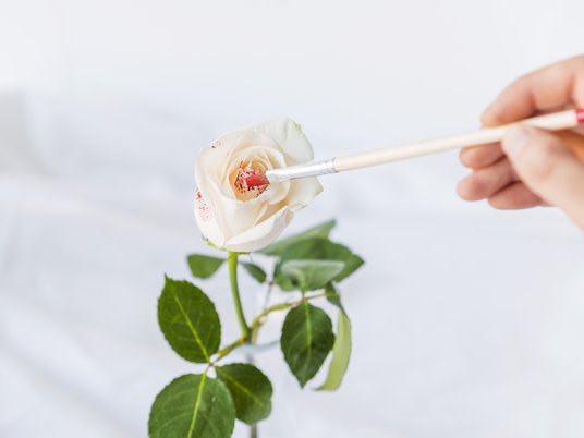 Цветы