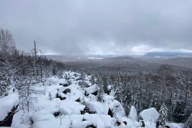 Окрестности поселка Кутурчин, где пропала семья Усольцевых,