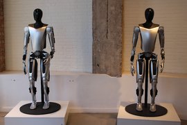 Роботы-гуманоиды Tesla Optimus