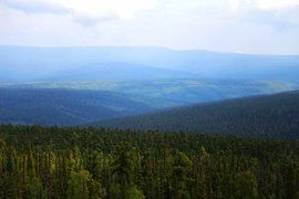 Тайга