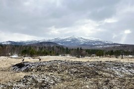 Окрестности поселка Кутурчин, где пропала семья Усольцевых