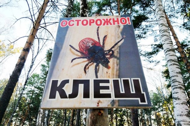 Клещ