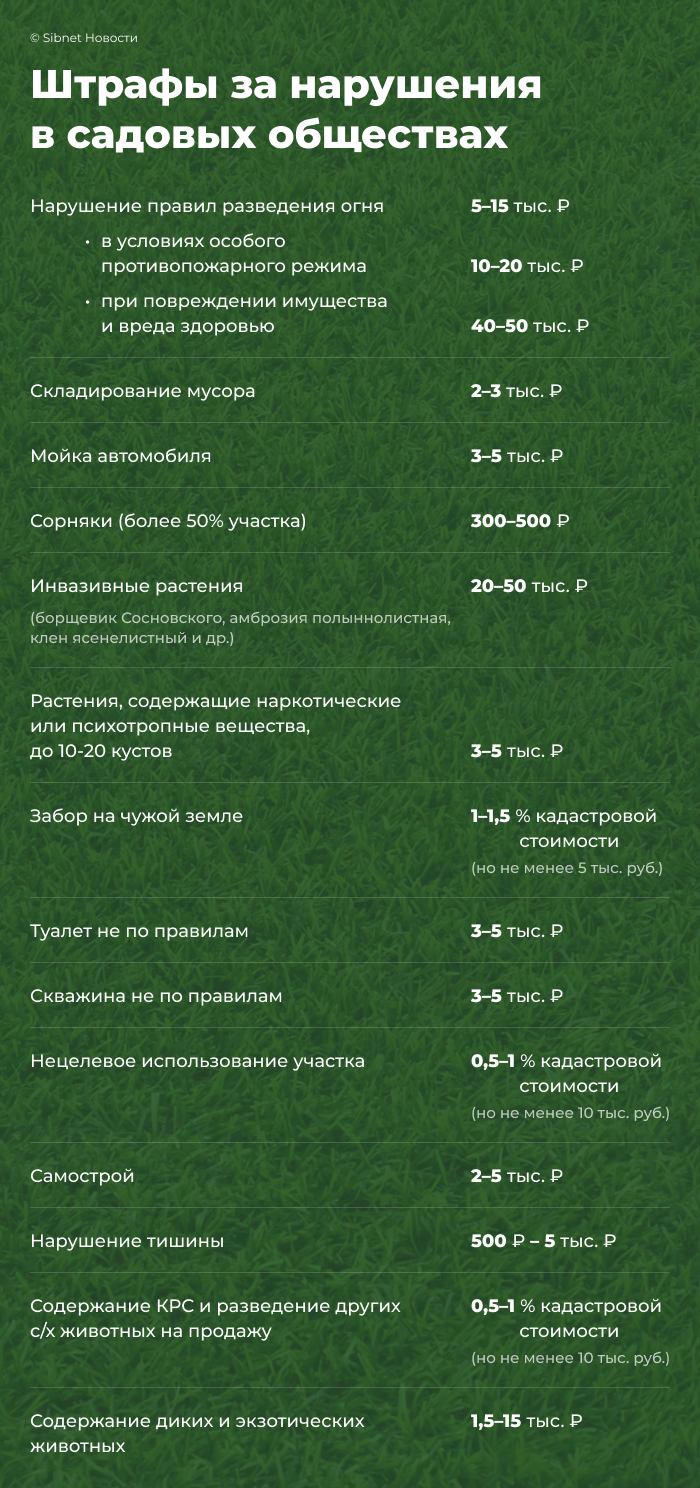 Главные штрафы для дачников в 2026 году