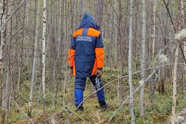 Поиски семьи Усольцевых в Красноярском крае