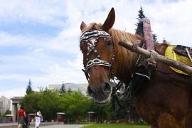 Почему мы считаем в лошадиных силах