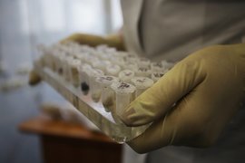 Криминалисты