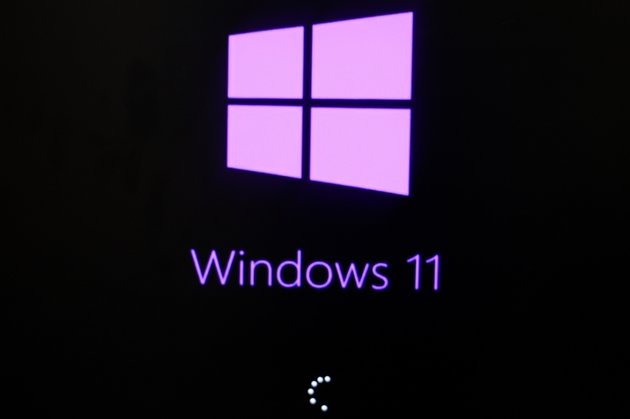 Windows 11