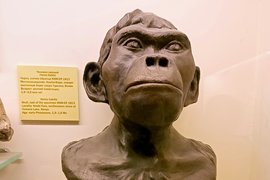 Реконструкция облика Homo habilis