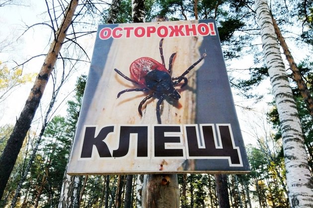 Клещ