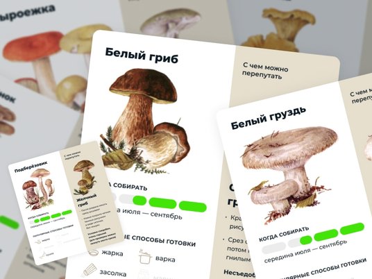 Грибы Сибири