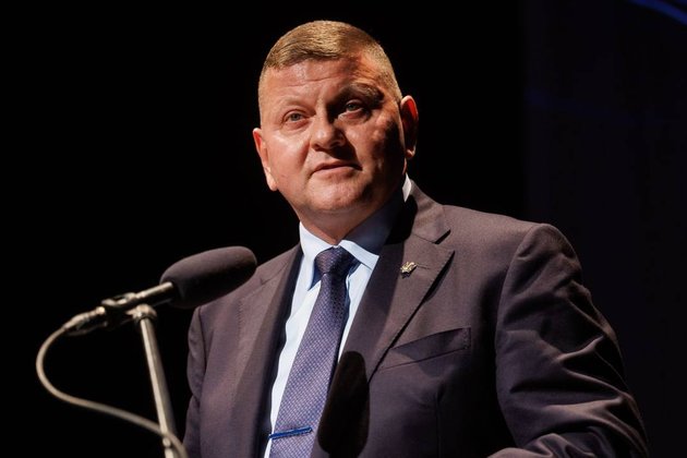 Экс-главком ВСУ Валерий Залужный