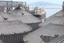Зерновой терминал в порту