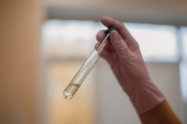 Денисовцы оказались гигантами ледникового периода