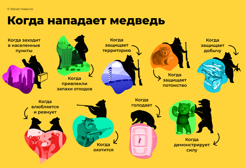 Когда нападает медведь Когда нападает медведь