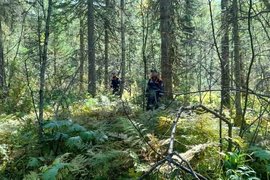 Поиски женщин в Енисейском районе Красноярского края