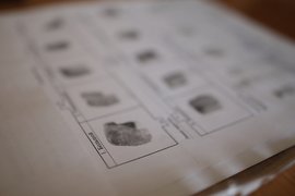 Криминалисты