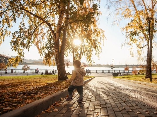 Осень в Новосибирске